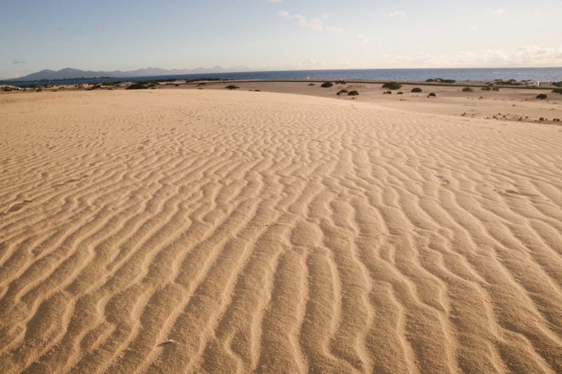 White sand dunes of the Parque Natural de Corralejo